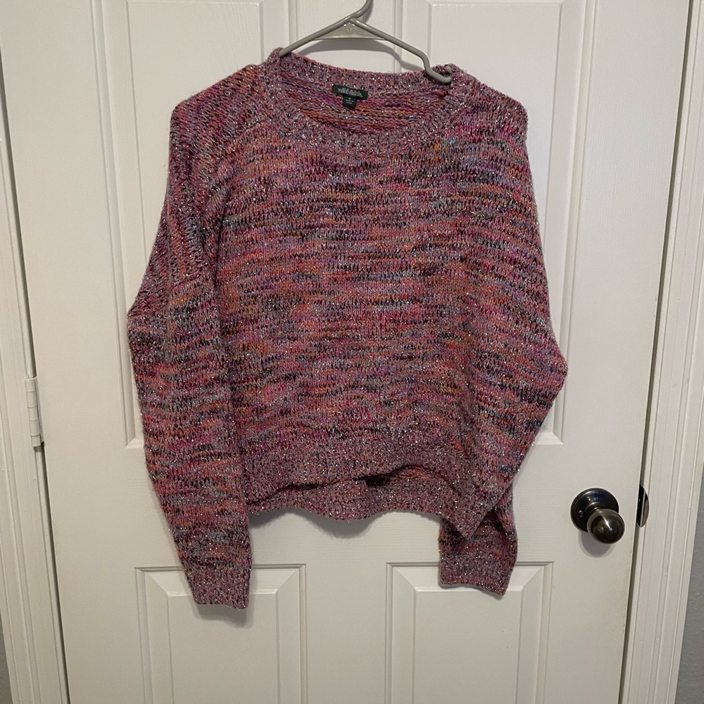 Wild Fable Multi Color Sweater